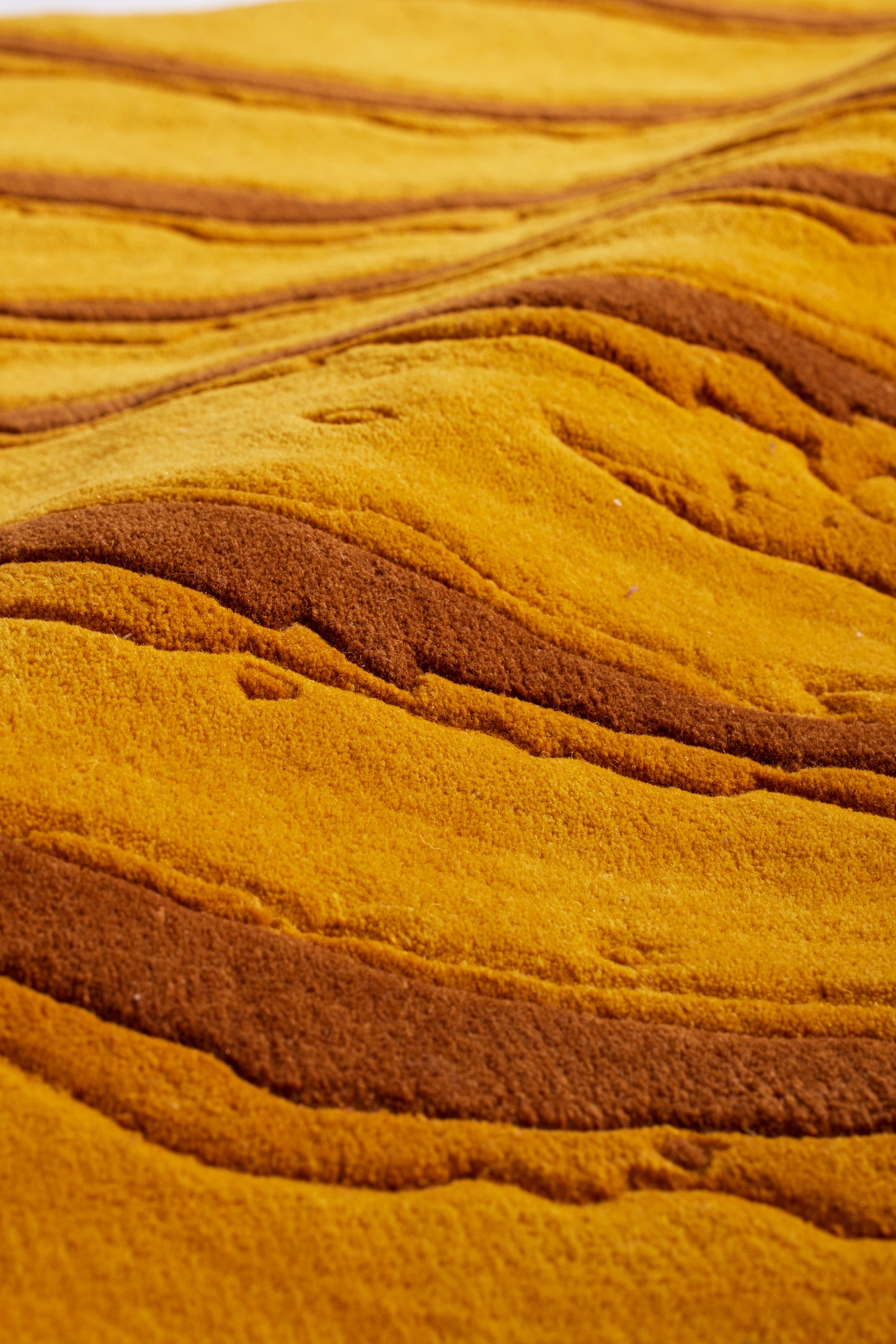 Cheddar Yellow Dunes