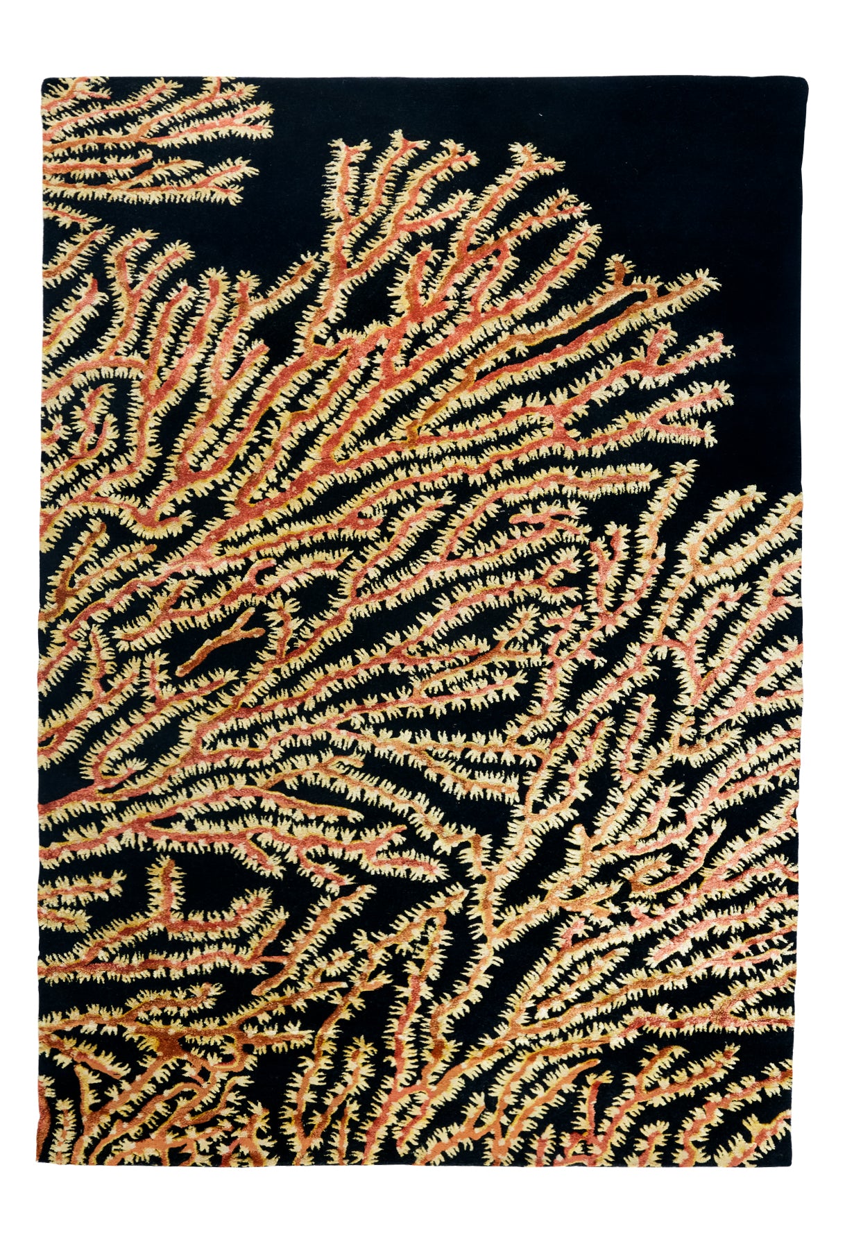 Xanthos Coral Reef