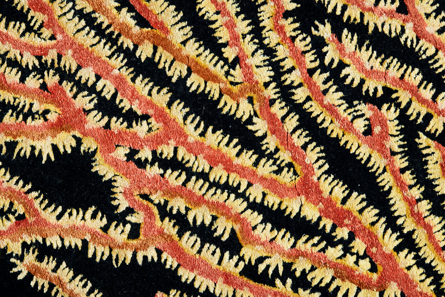 Xanthos Coral Reef