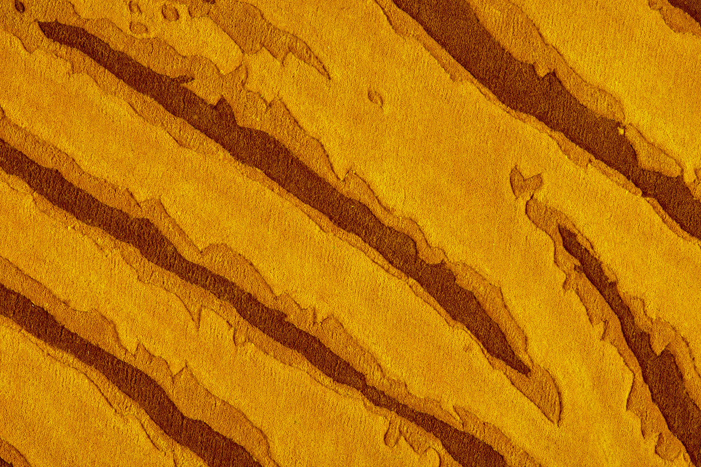 Cheddar Yellow Dunes