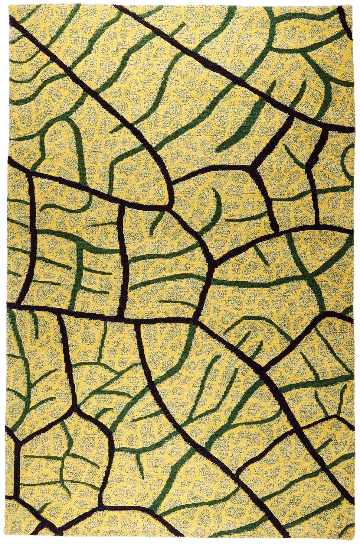 Vibrant Venation
