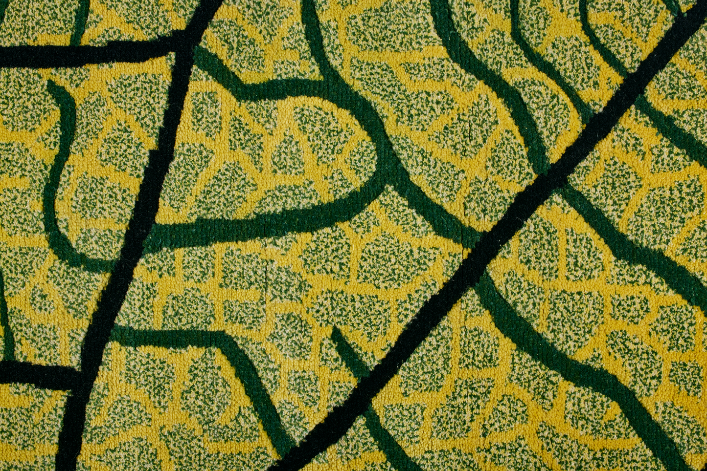 Vibrant Venation